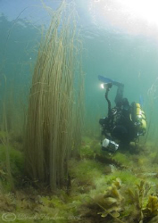 Mr T in action! Porth ysgaden. North Wales. 10.5mm. by Derek Haslam 